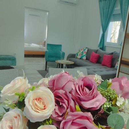 Apartman Radovic Smederevo Exterior foto
