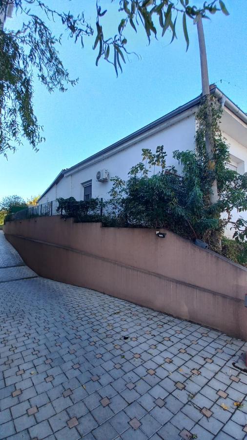 Apartman Radovic Smederevo Exterior foto